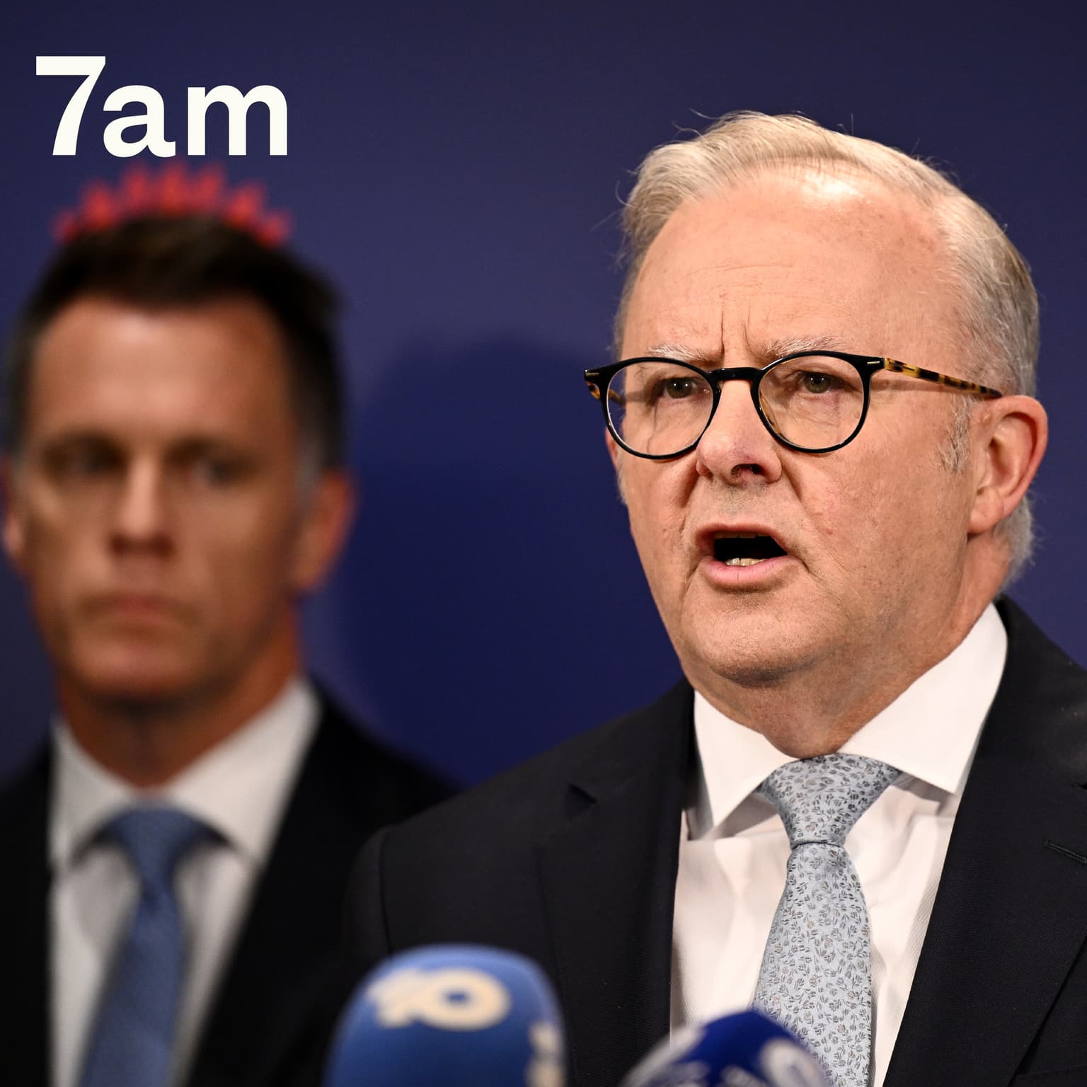 Albanese's plan to tackle anti-semitism artwork