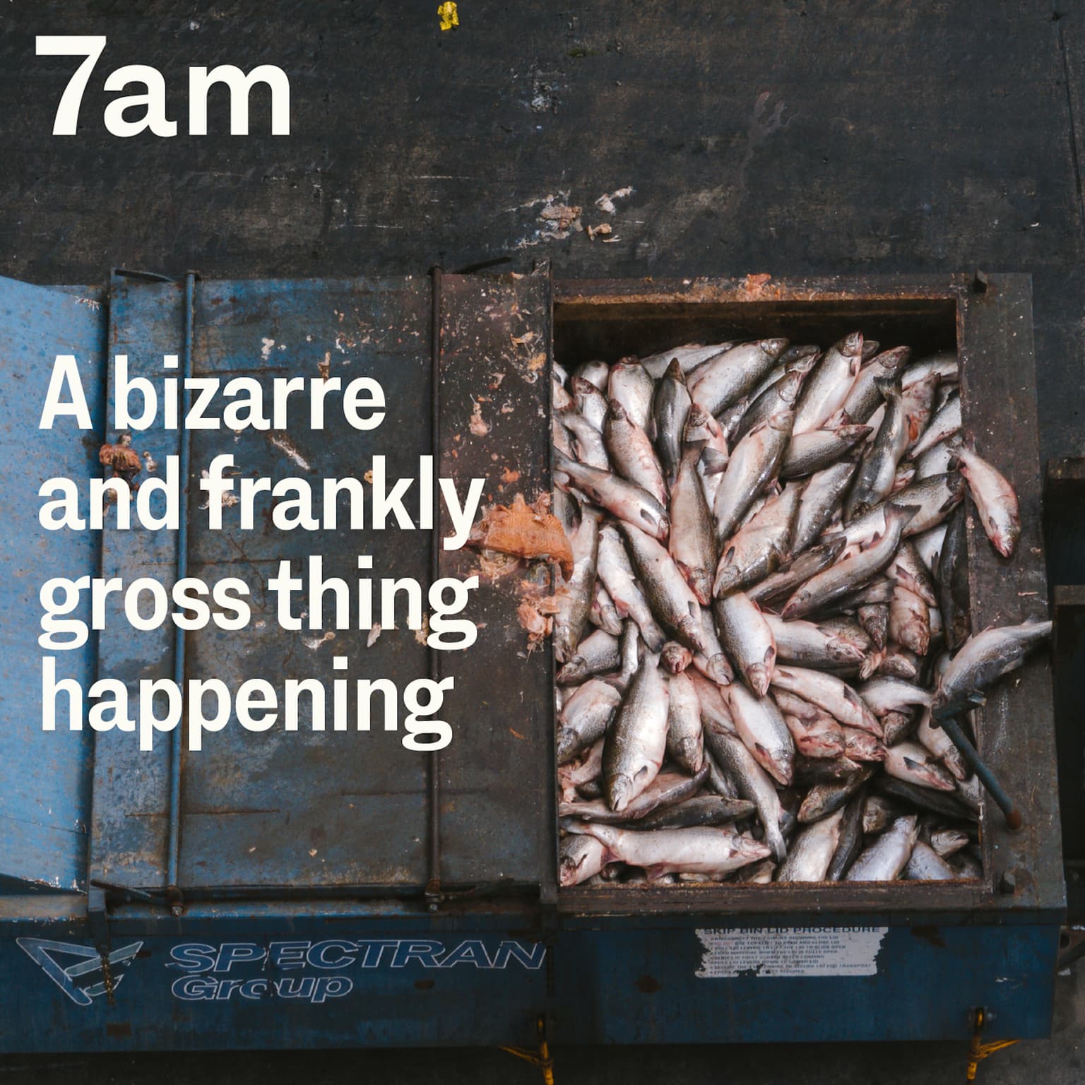 A bizarre and frankly gross thing happening artwork