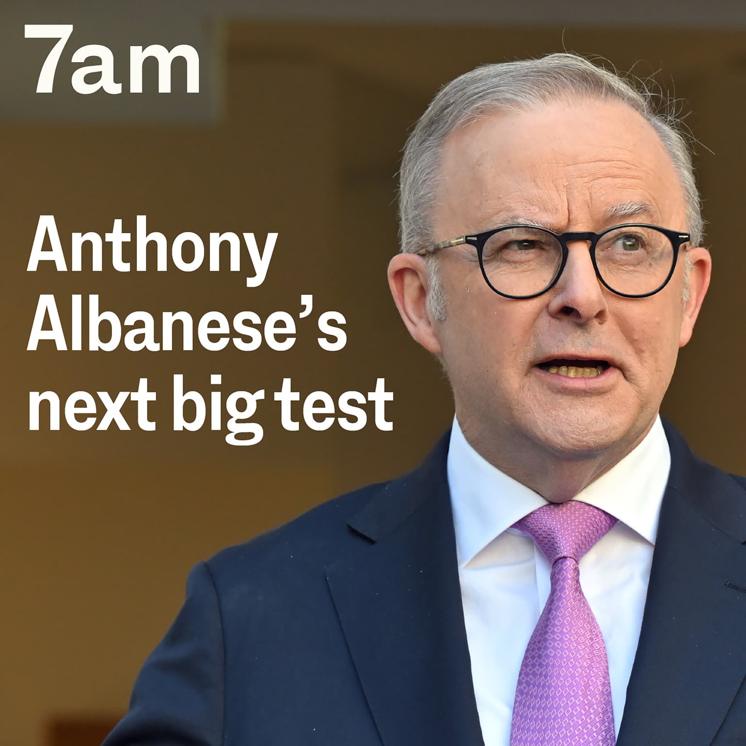 Anthony Albanese’s next big test artwork