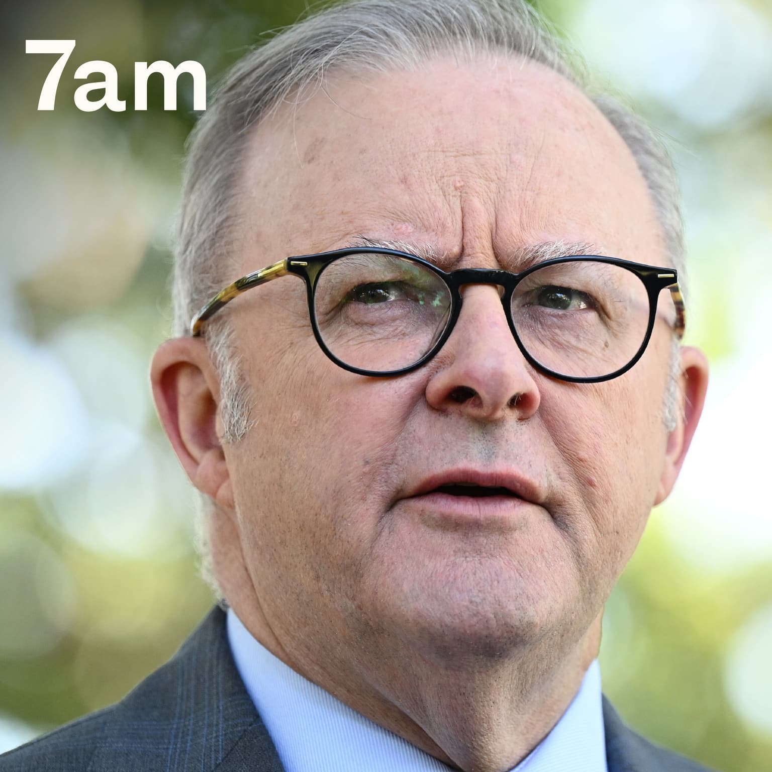 Why Albanese won't solve the housing crisis artwork