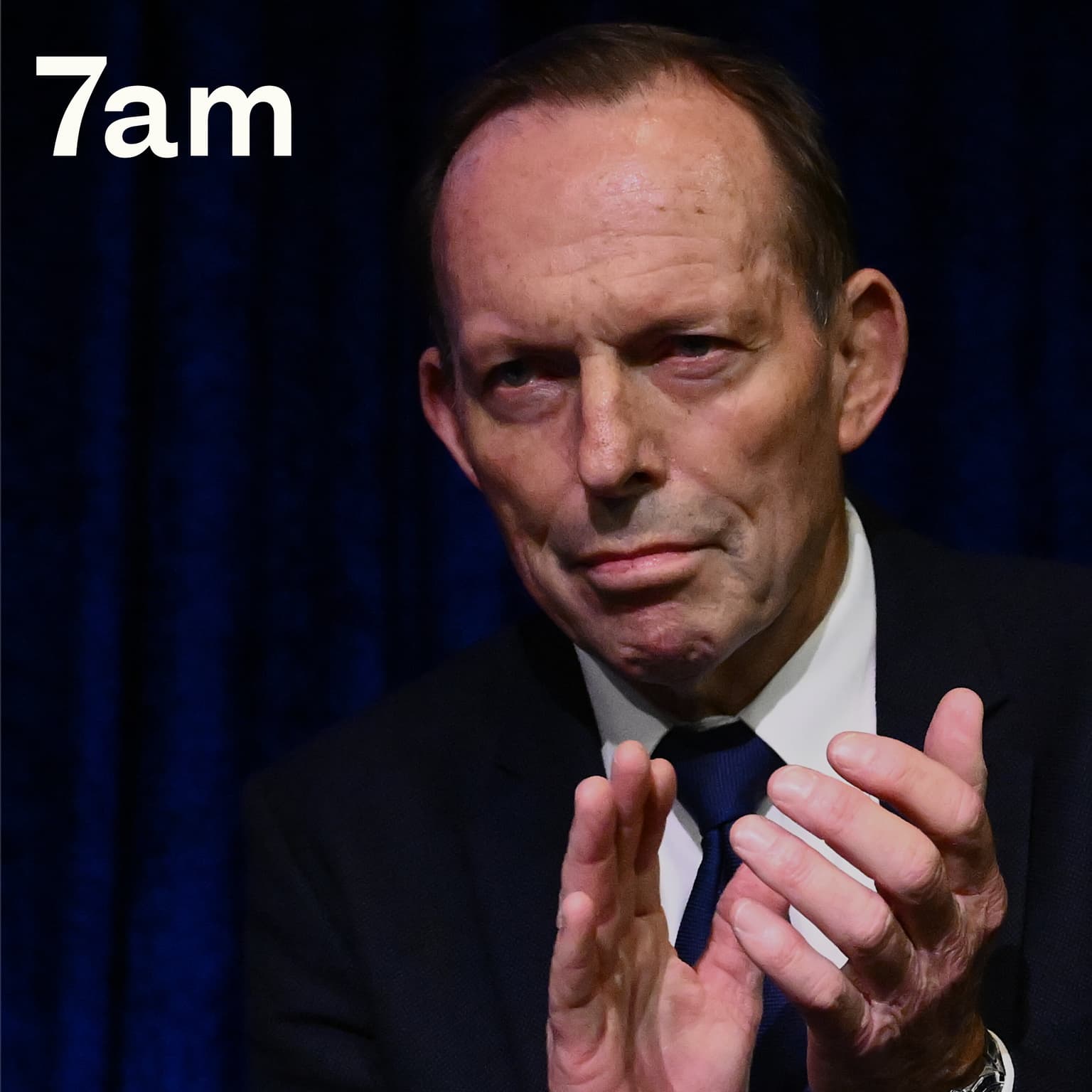 Can Tony Abbott save the Liberal party? artwork
