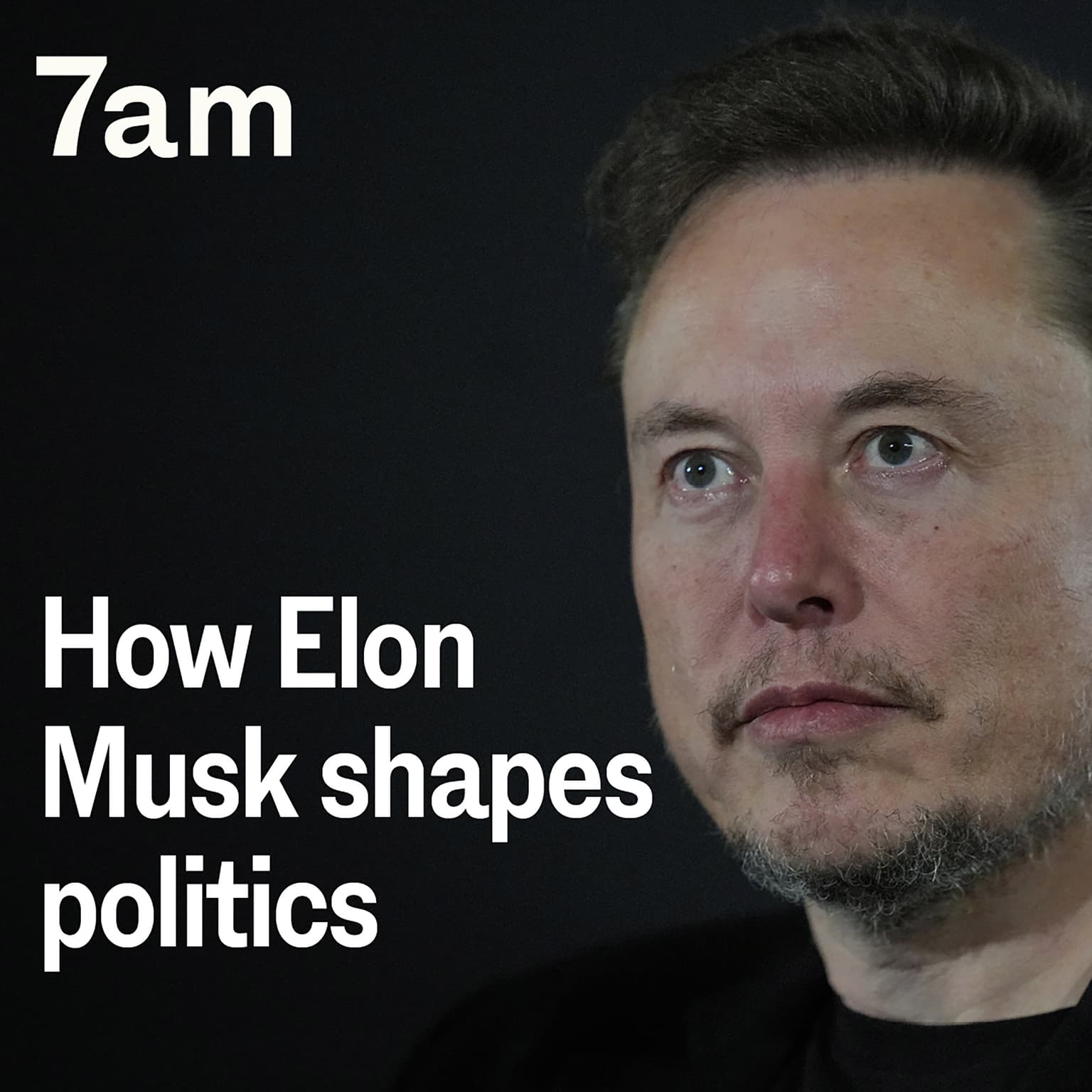 How Elon Musk shapes politics artwork