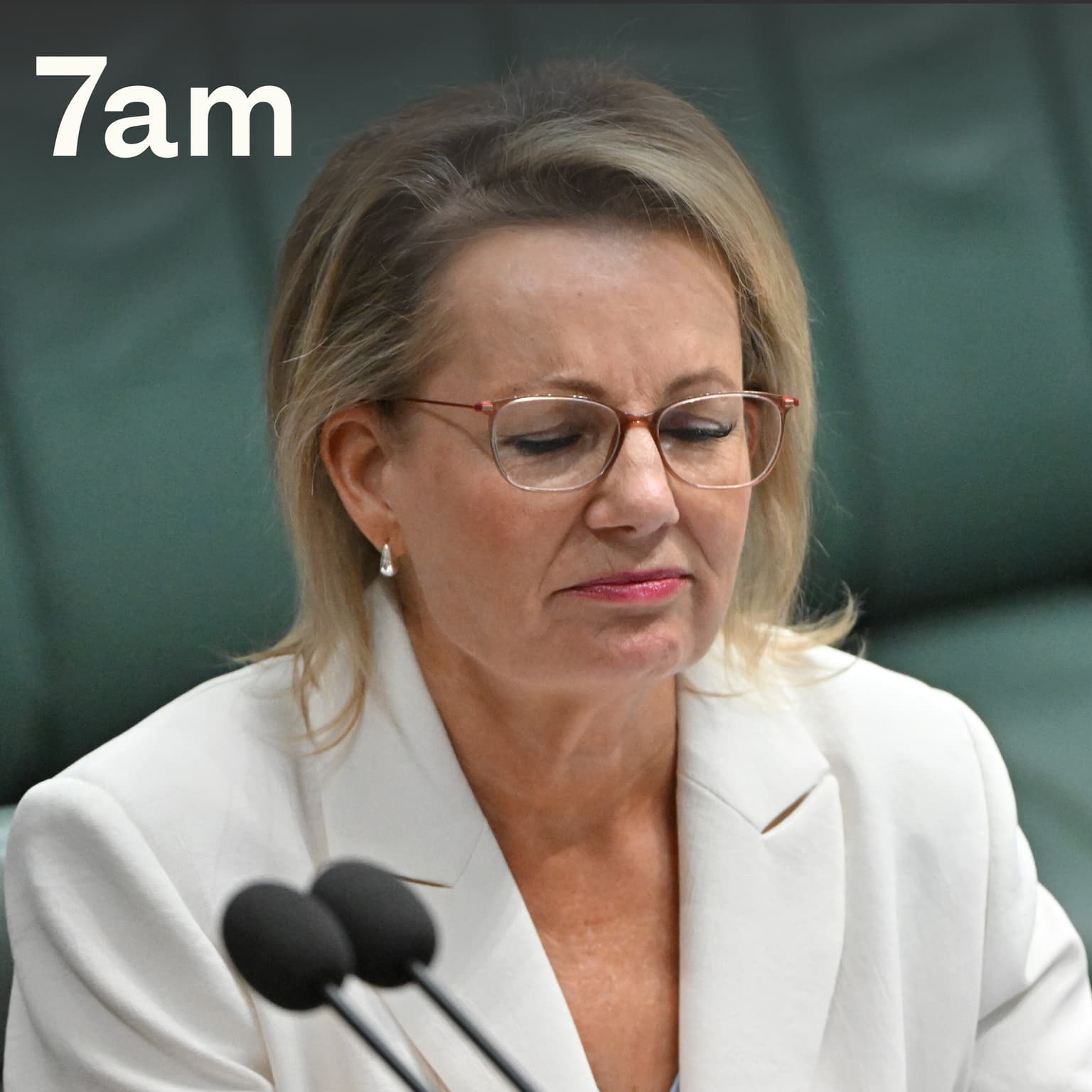 Why scrapping net zero won’t save Sussan Ley artwork