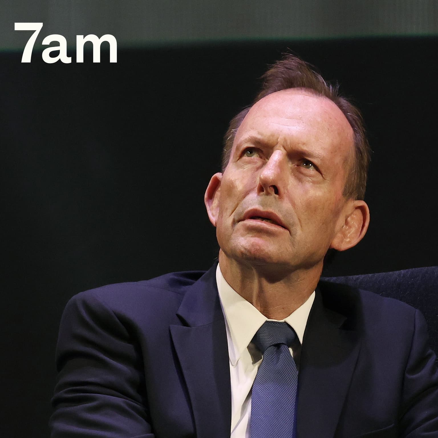 The world according to Tony Abbott artwork