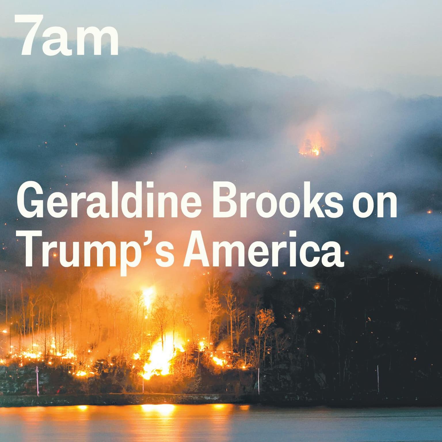 Geraldine Brooks on Trump's America artwork