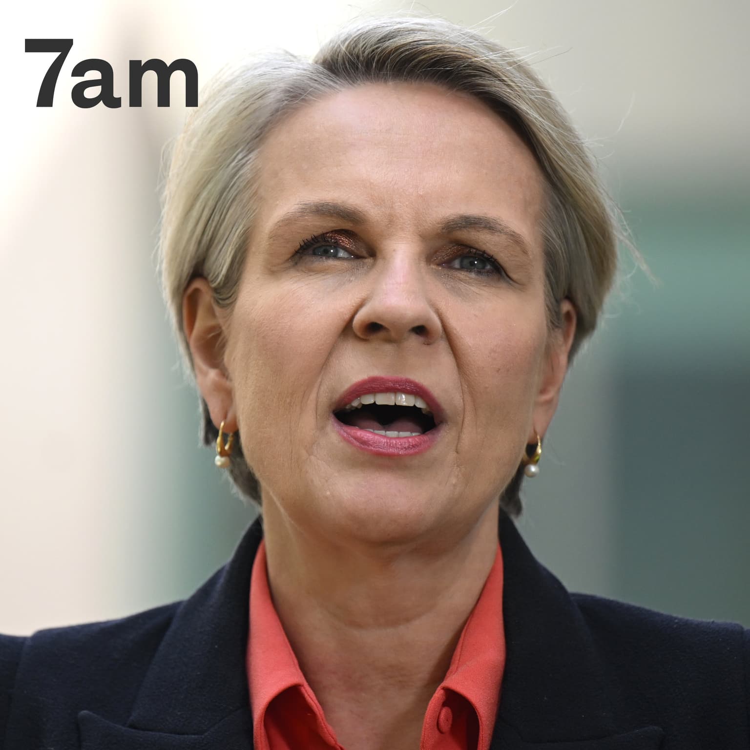 Tanya Plibersek on the PM’s viral DV comments and calls for a royal commission artwork