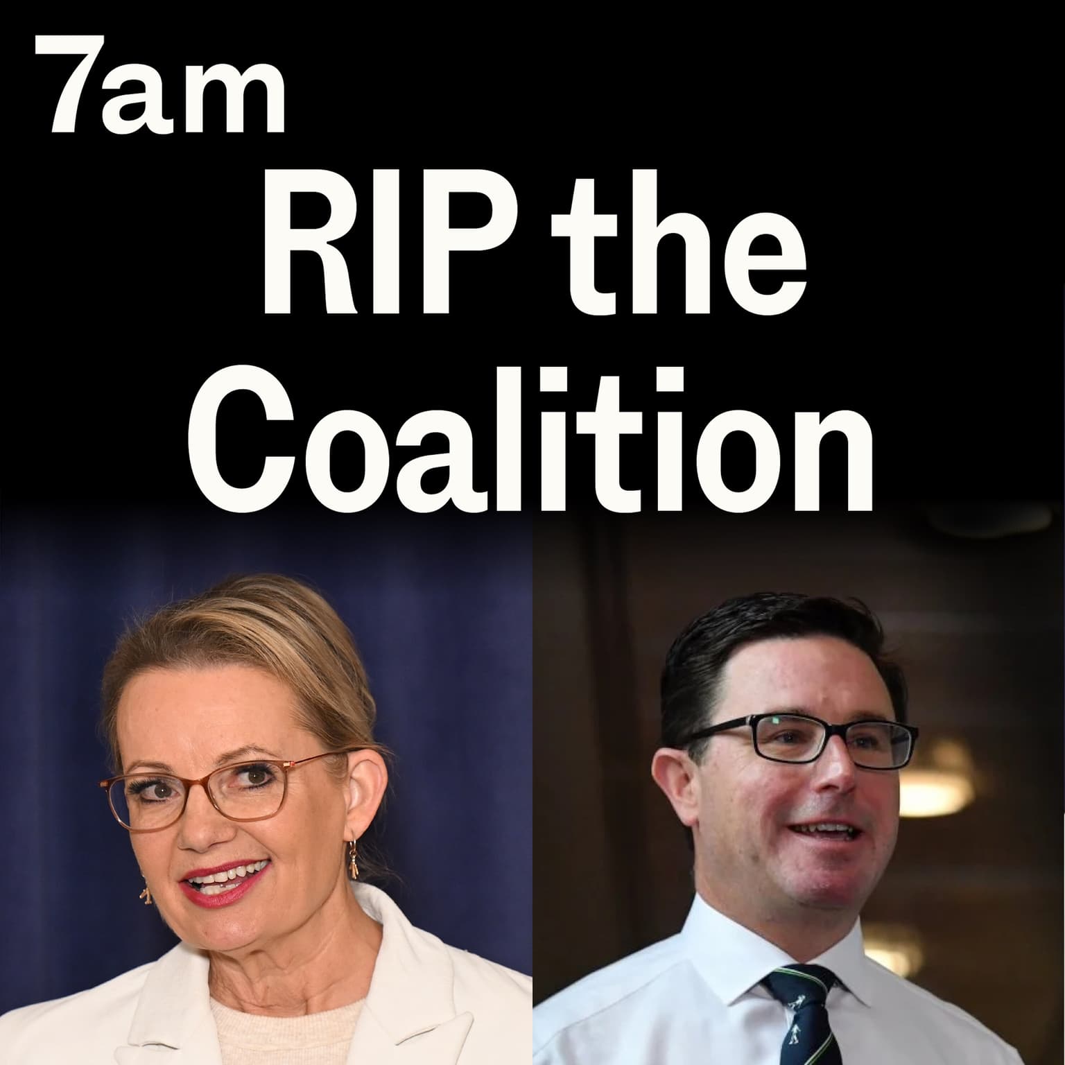 RIP the Coalition artwork