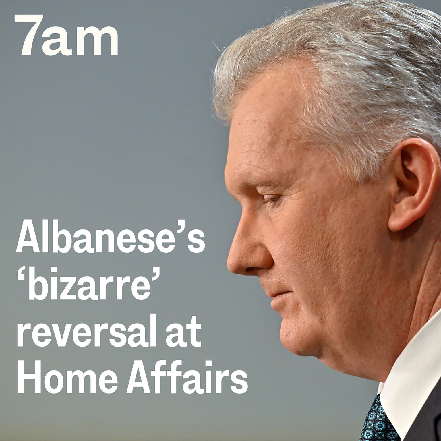 Albanese’s ‘bizarre’ reversal at Home Affairs artwork
