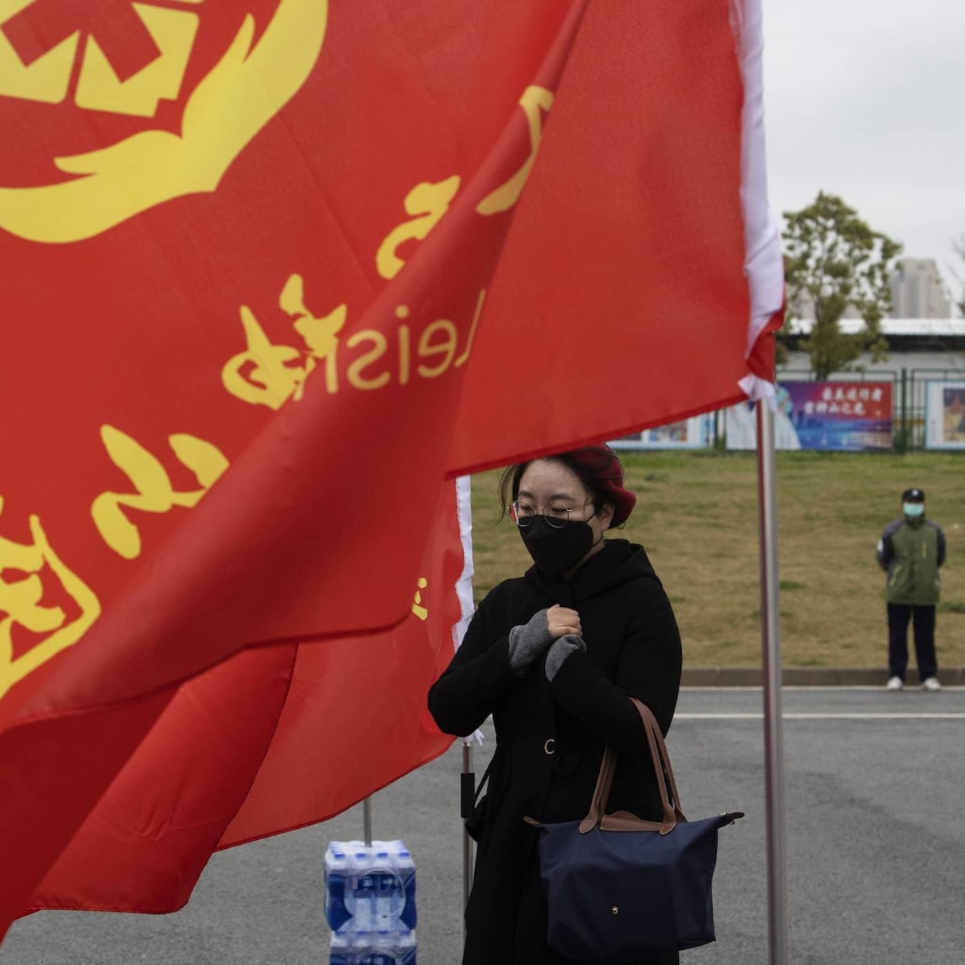 Marknaden i Wuhan, husdjur i kristid och beredskapslagren som försvann artwork