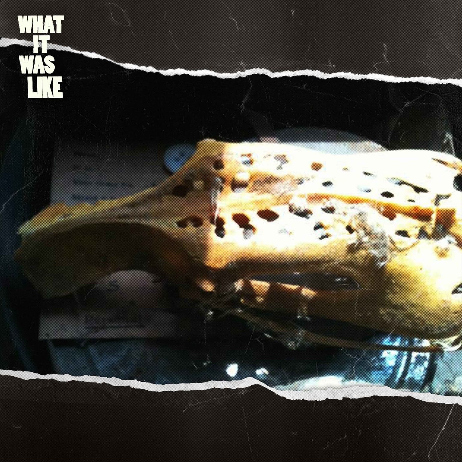 What We Found Hidden in our Walls artwork