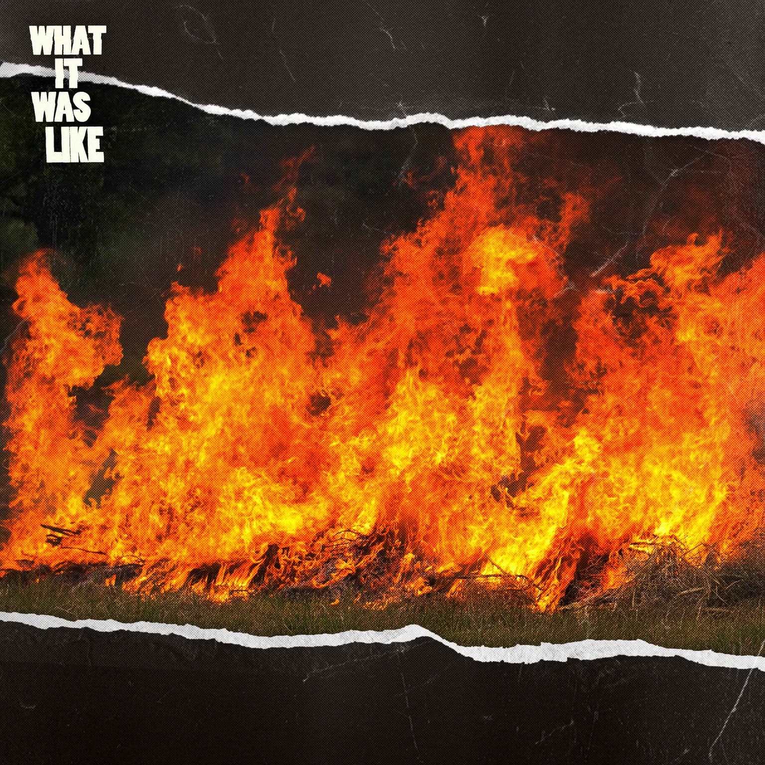 Lighting Bushfires Made Me Feel Less Alone artwork