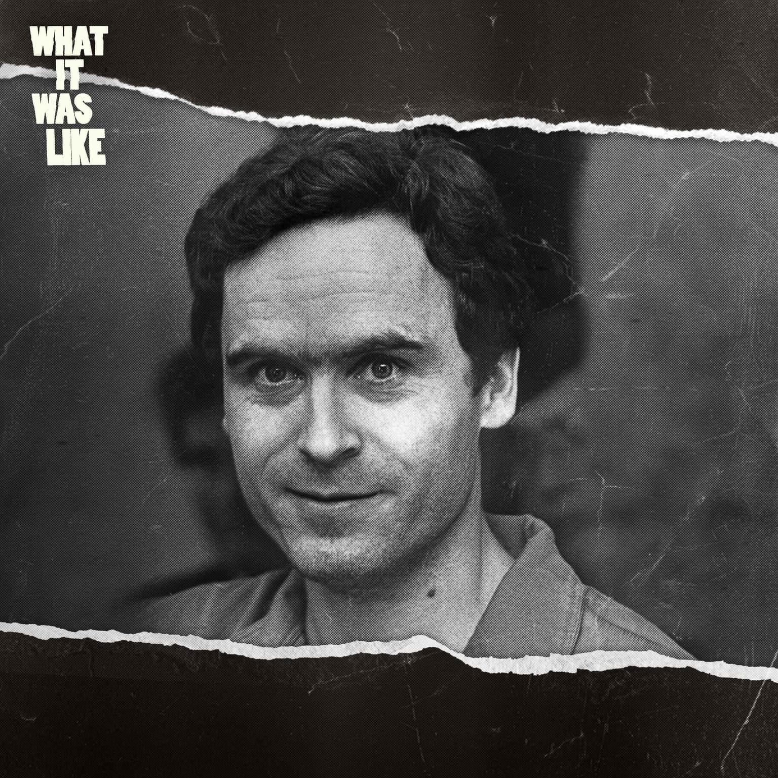 Ted Bundy Tried to Kill Me artwork