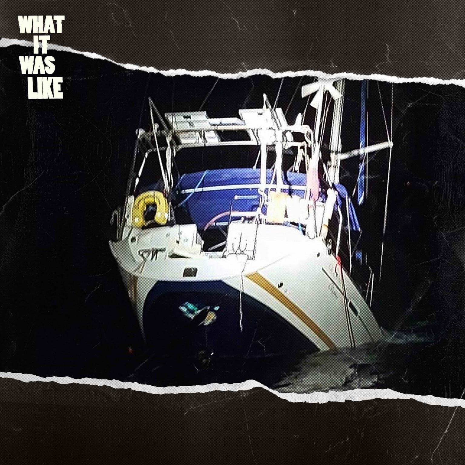 Whales Are Sinking Boats and No One Knows Why artwork