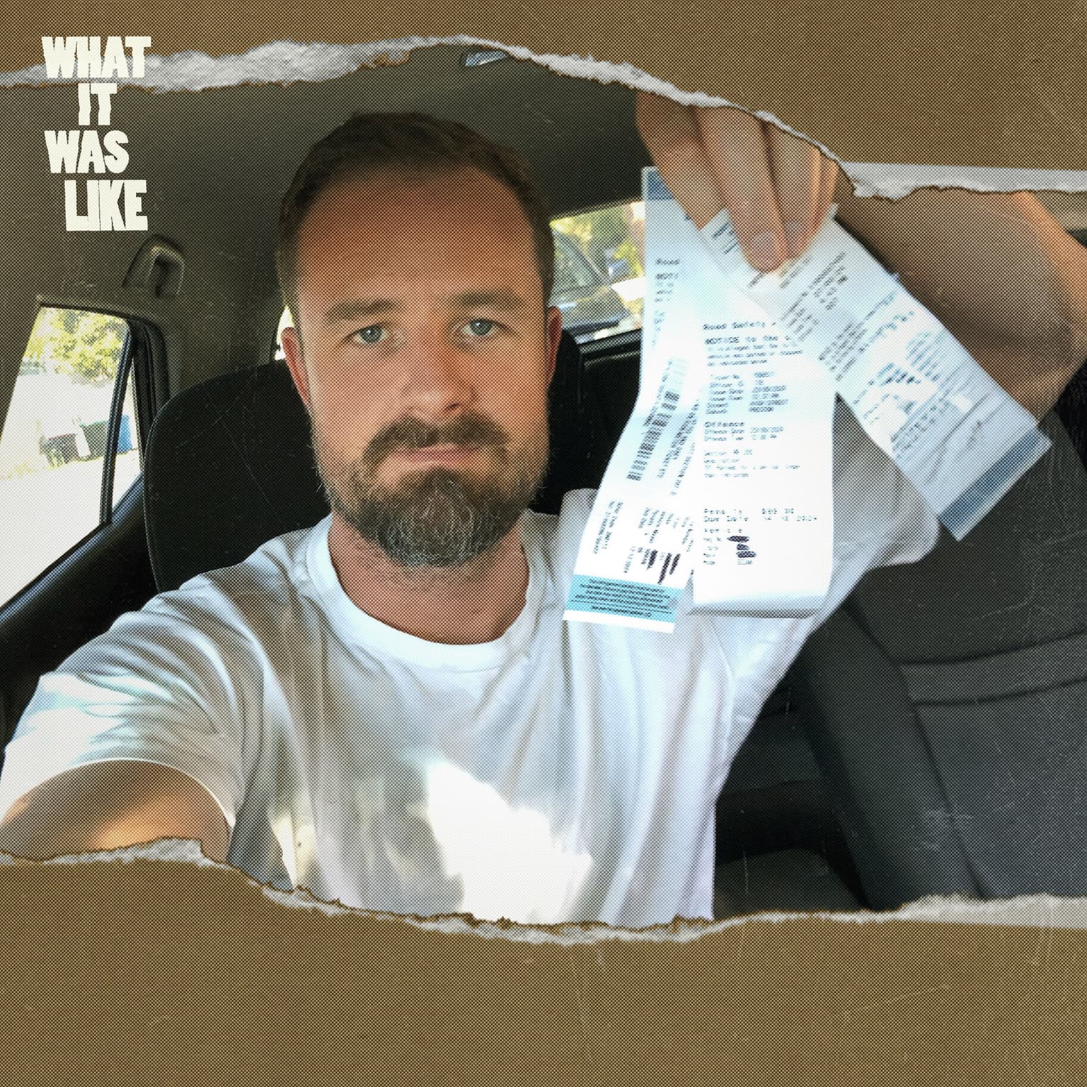 How I Got Revenge for My Parking Fines artwork