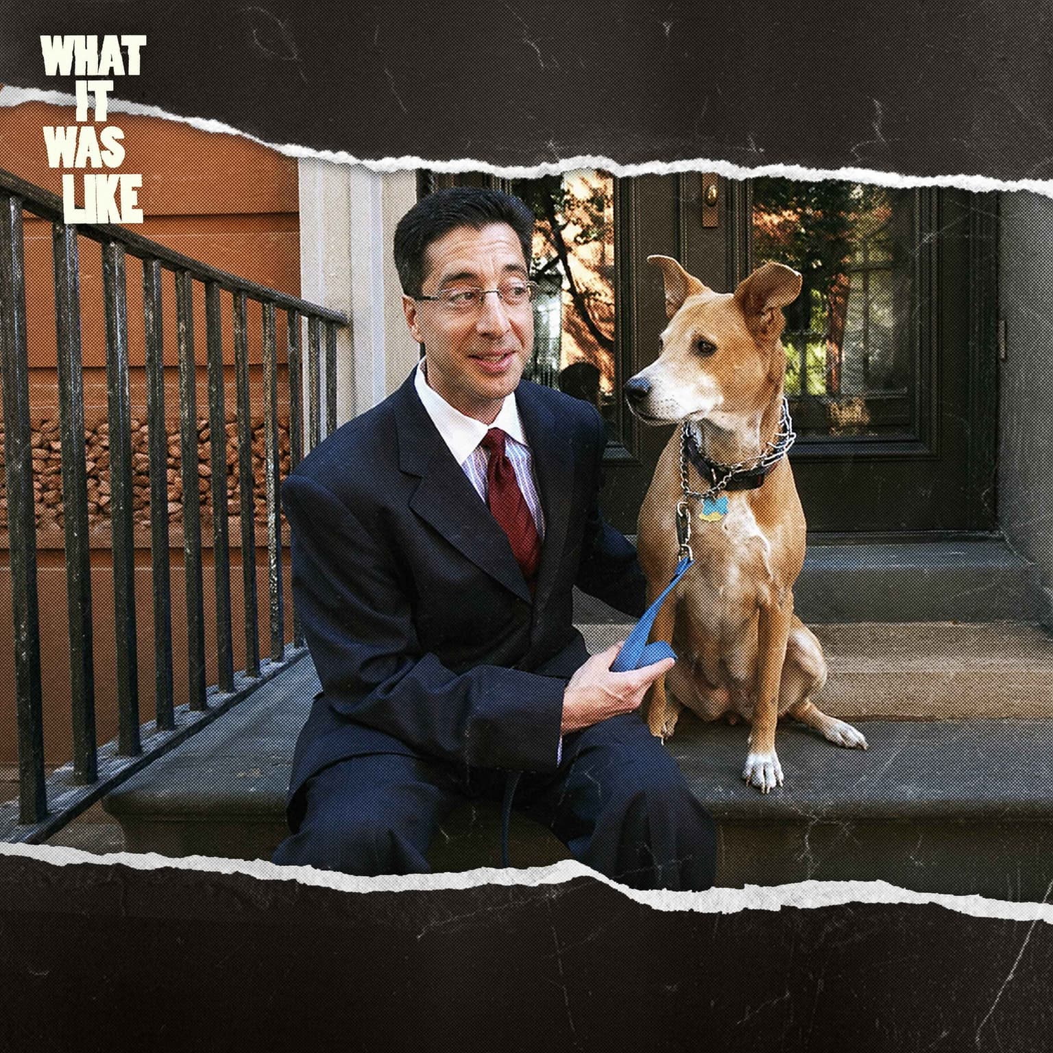 My Terrifying (and Oddly Funny) 25 Hours Kidnapped in New York artwork
