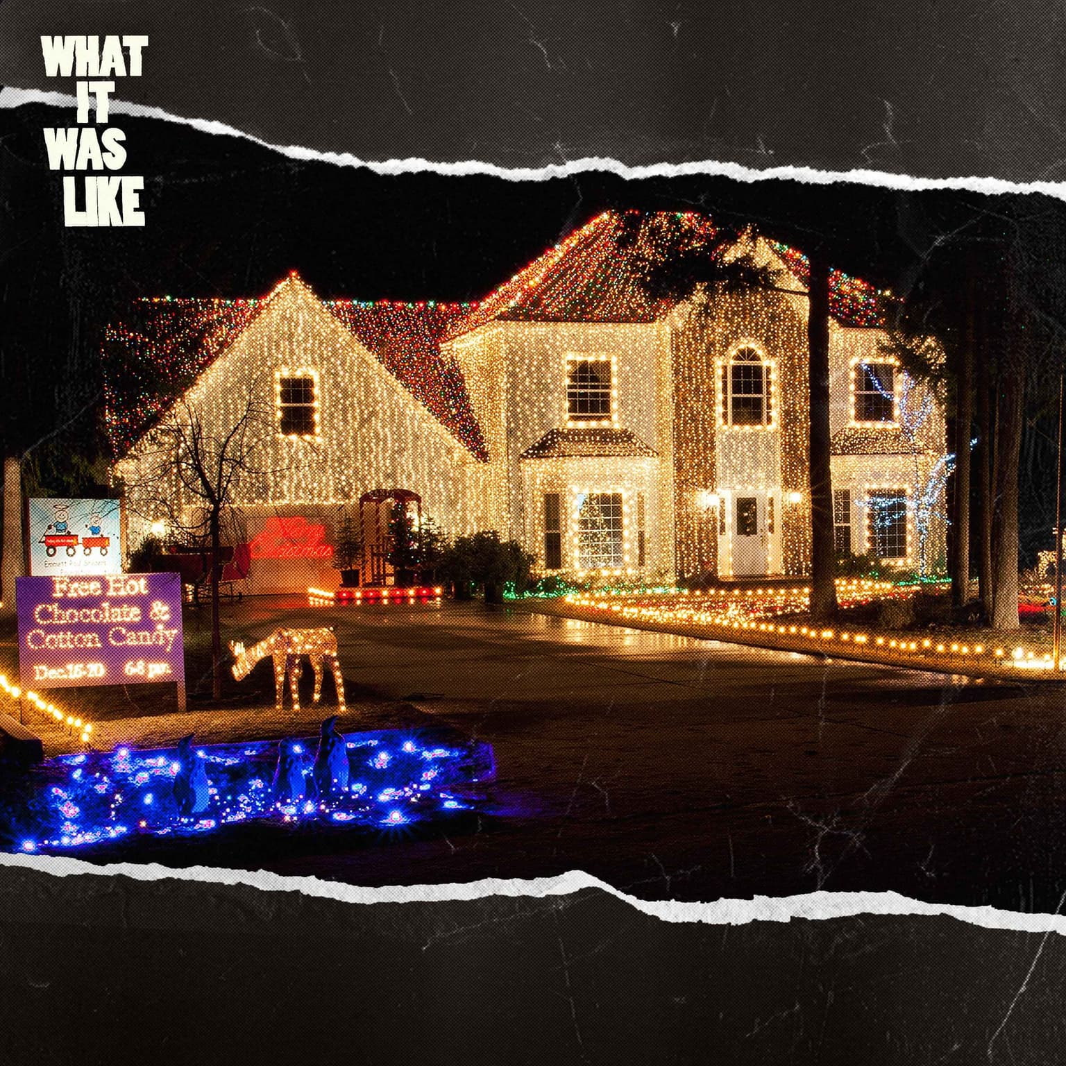 A Federal Judge Banned My Christmas Lights artwork