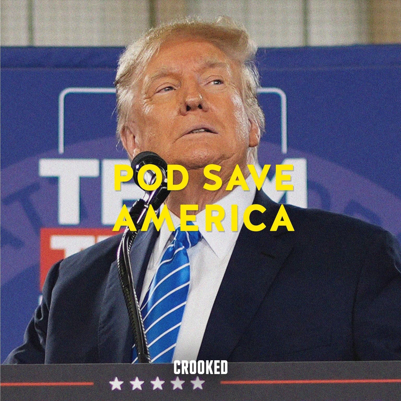 Trump Stokes Border Chaos artwork