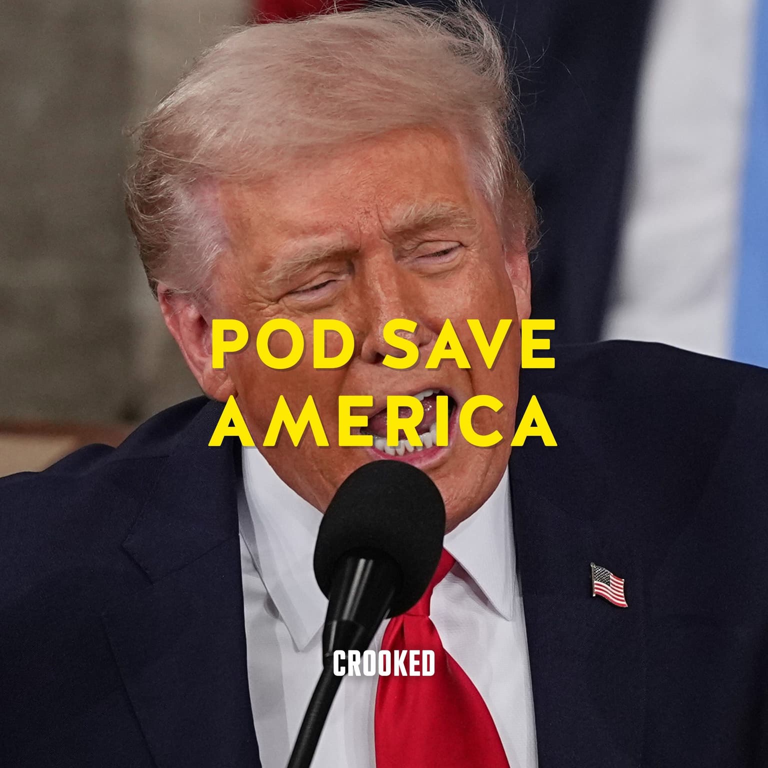 The State of the Union Is Long artwork
