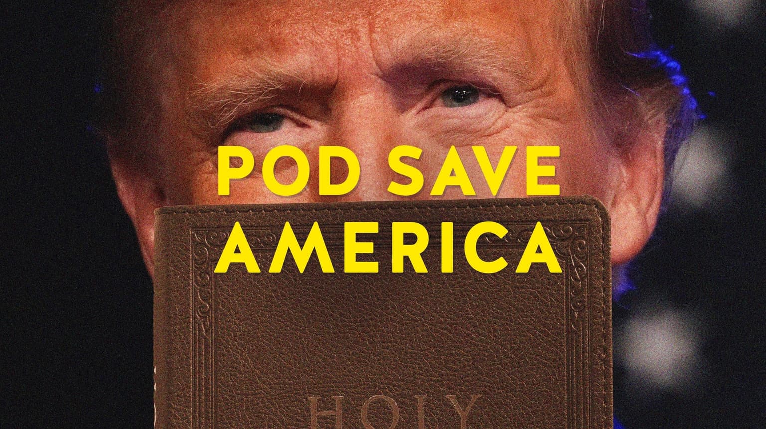 Donald Trump: Bible Salesman artwork
