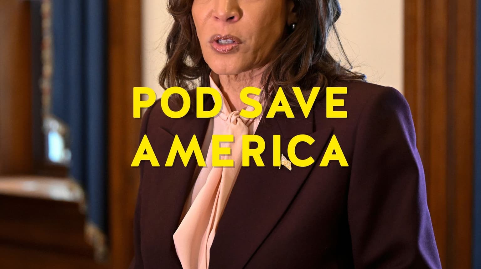 Kamala Didn't Have the Courage! artwork
