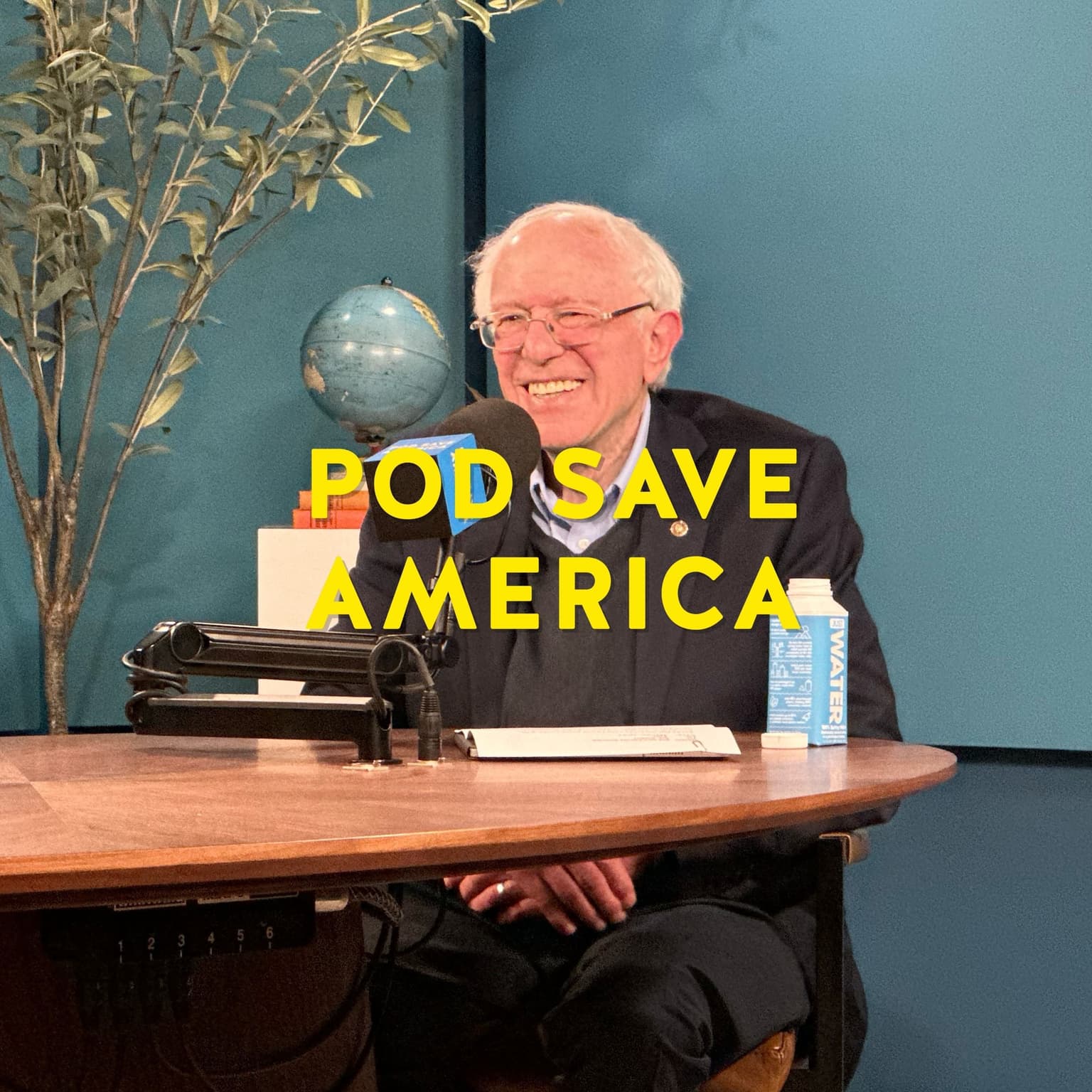 Bernie Sanders on the War in Gaza and Beating Trump artwork