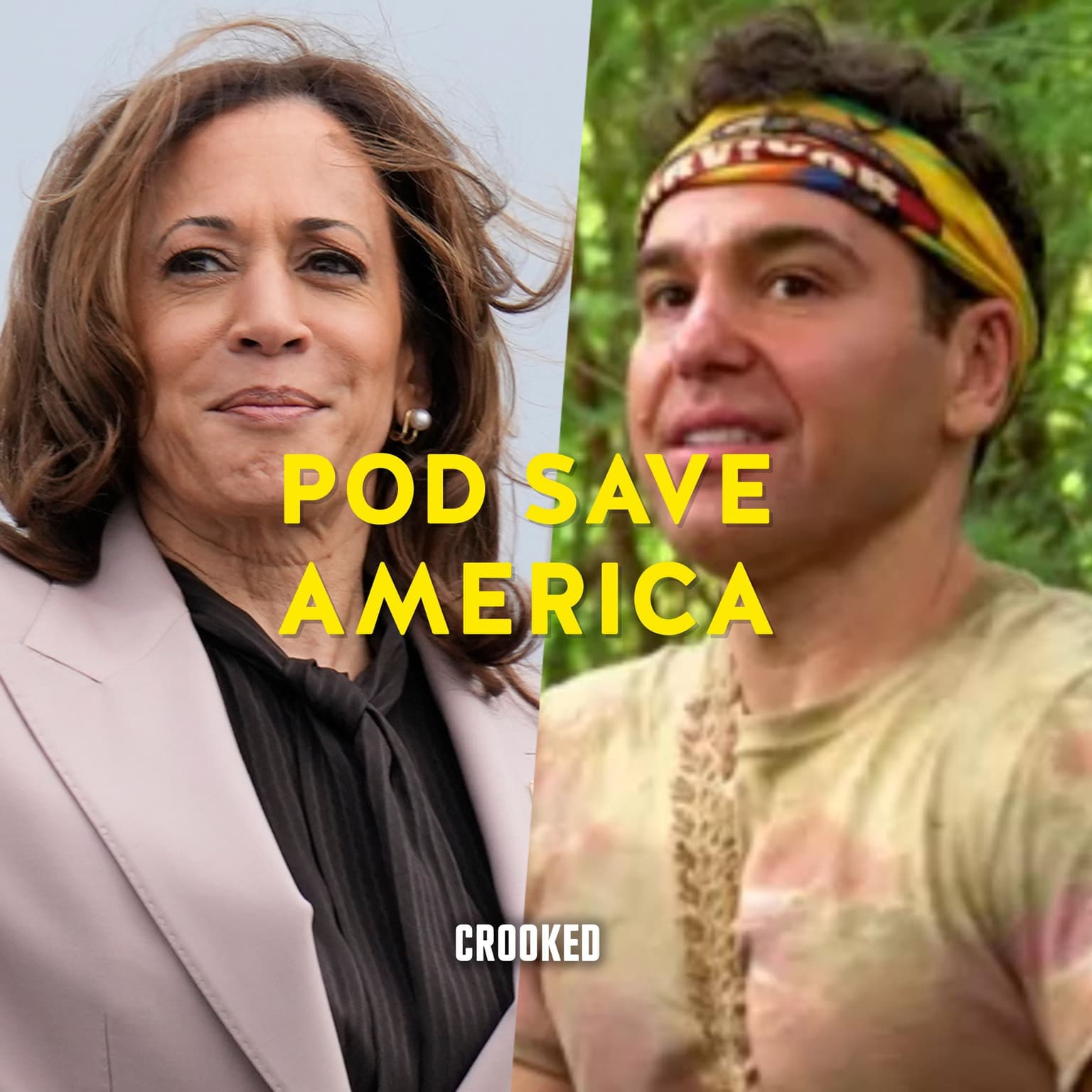Kamala Up, Lovett Down artwork