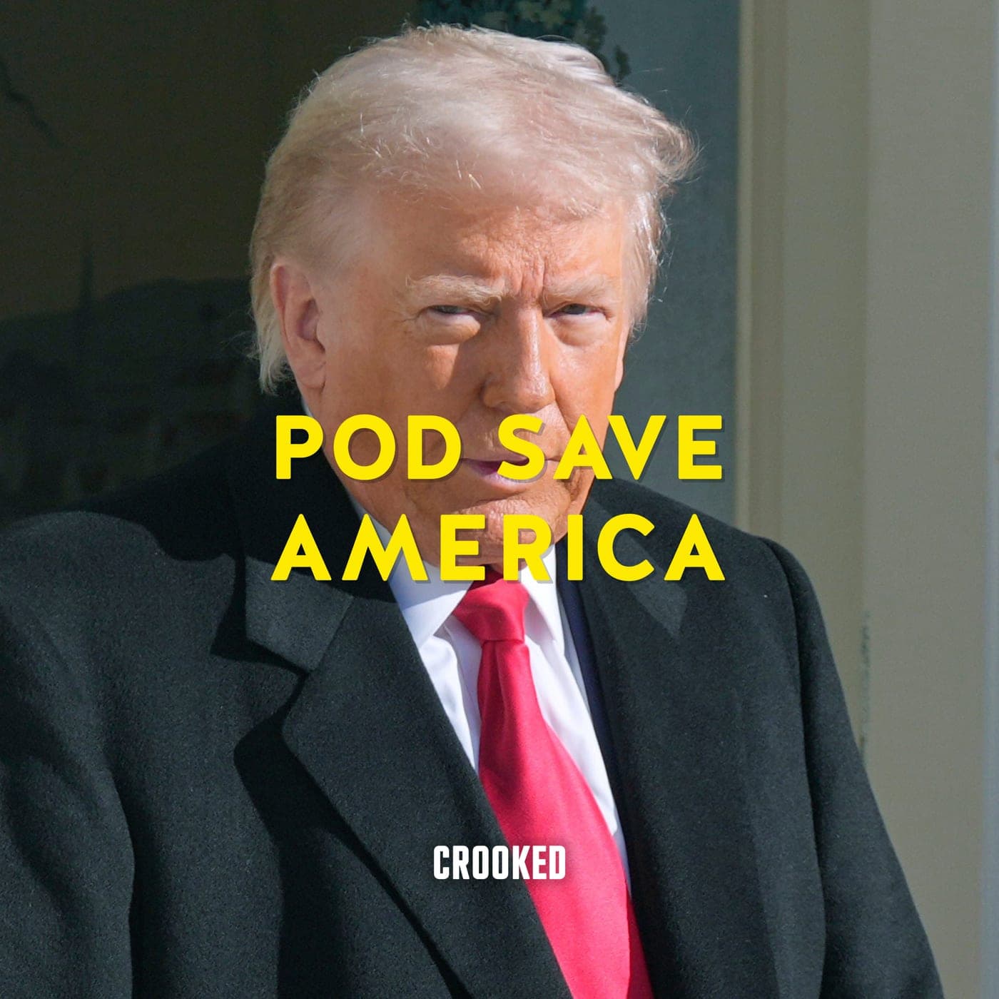 Trump Threatens to Steal the Midterms artwork