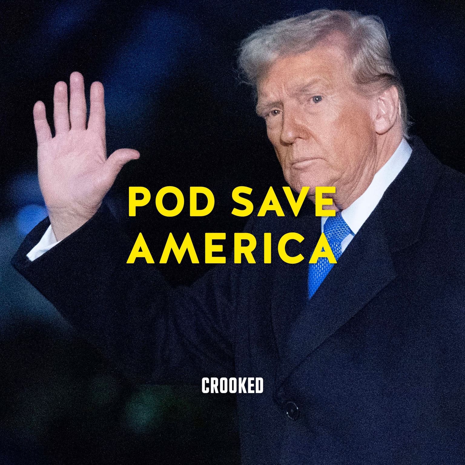 Trump's Crackdown on Dissent artwork