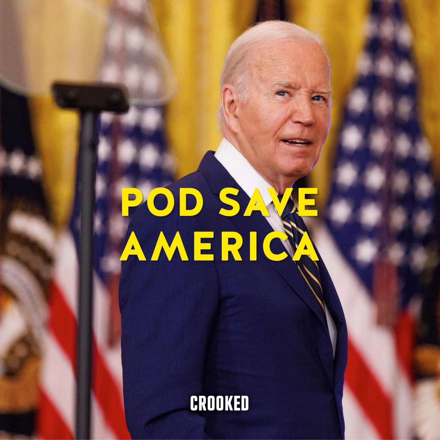 Biden Takes Action on the Border artwork