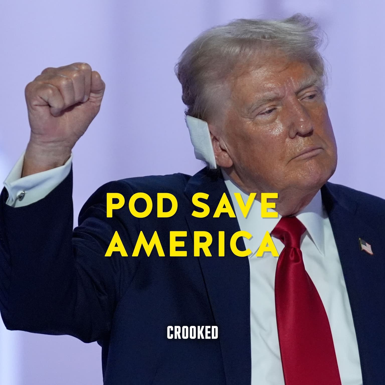 Trump Is So Beatable artwork