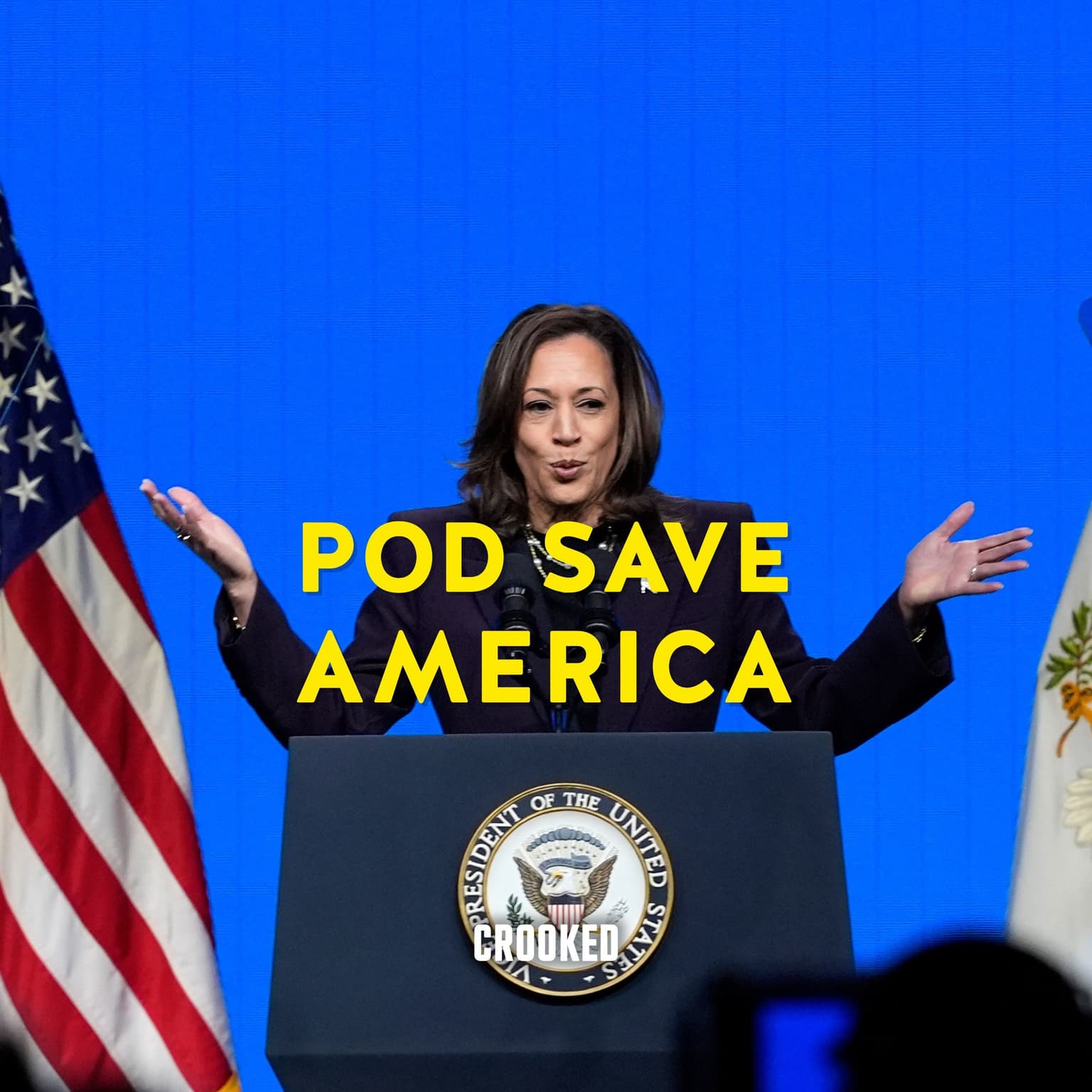 The Race to Define Kamala Harris artwork
