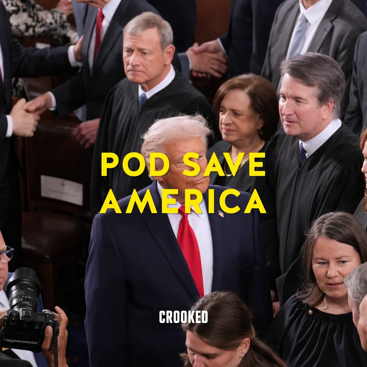 Did Trump's Supreme Court Rig the Midterms? artwork