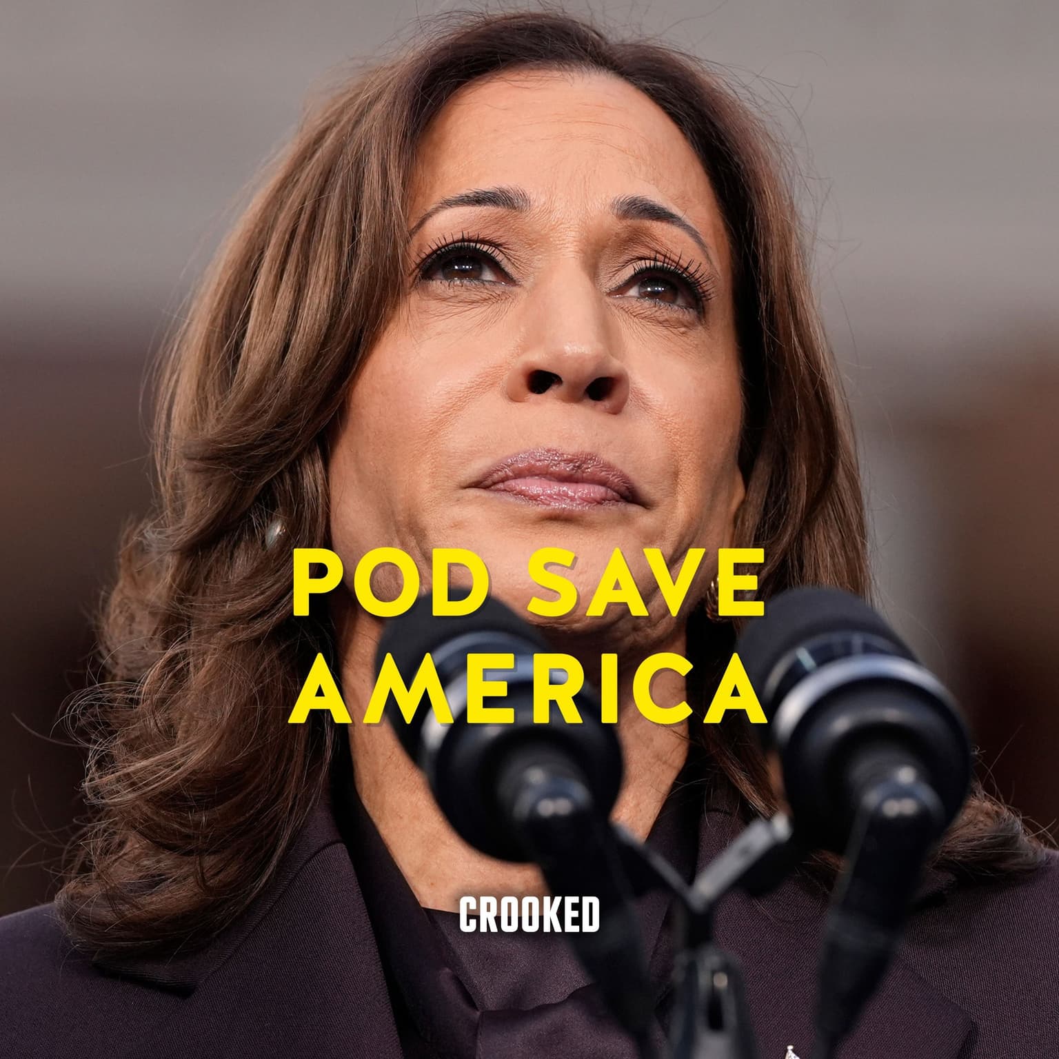 Exclusive: The Harris Campaign On What Went Wrong artwork