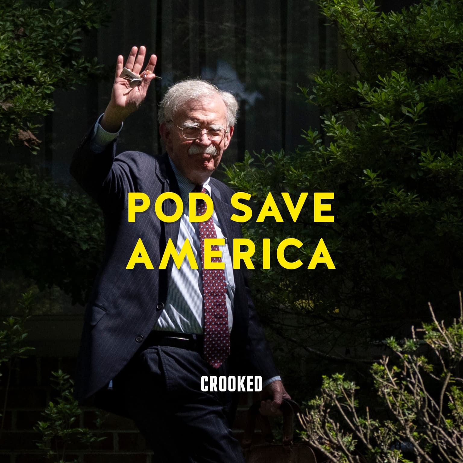 First They Came for John Bolton artwork