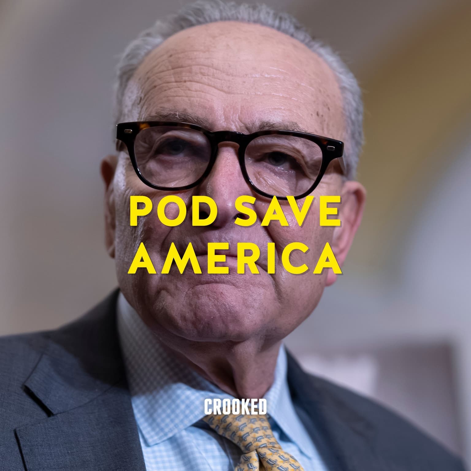 Shutdown for What? (Schumer's Version) artwork
