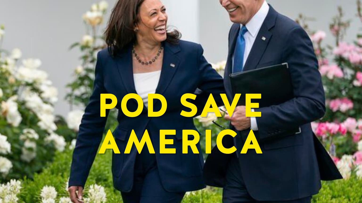 Biden Passes the Torch to Kamala artwork