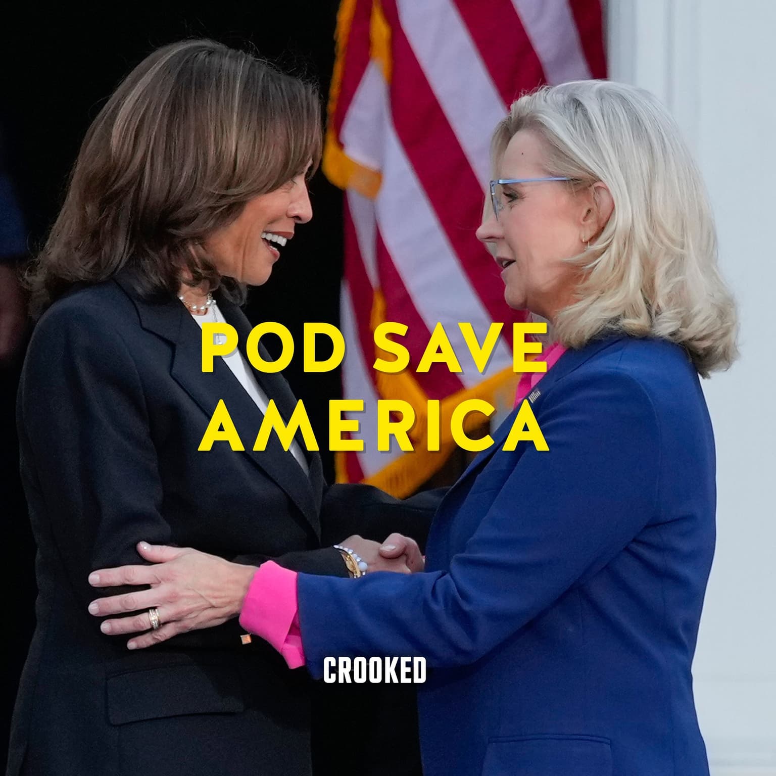 Kamala Harris & Liz Cheney Take on Donald Trump artwork
