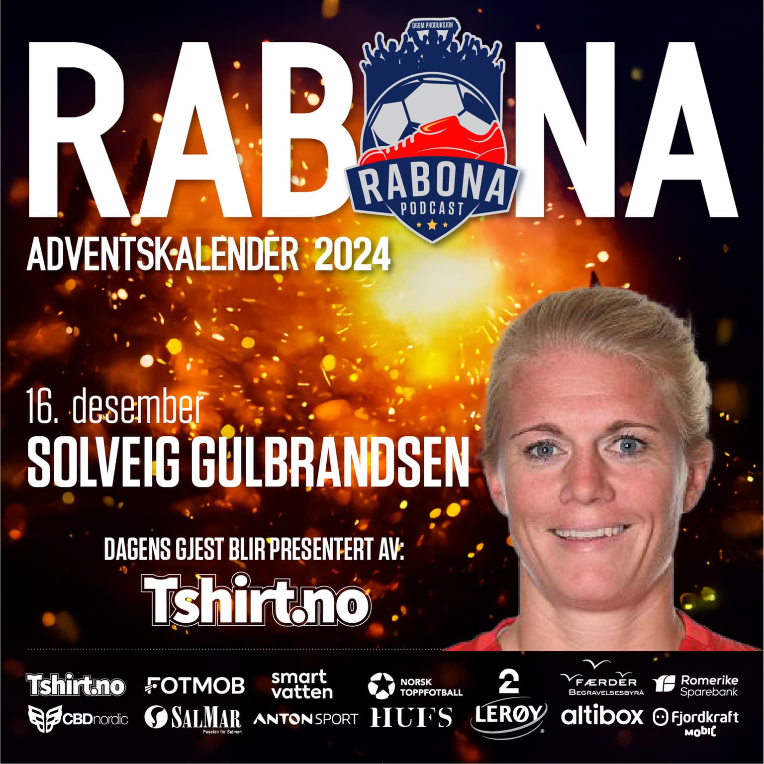 16.Desember: Solveig Guldbrandsen artwork