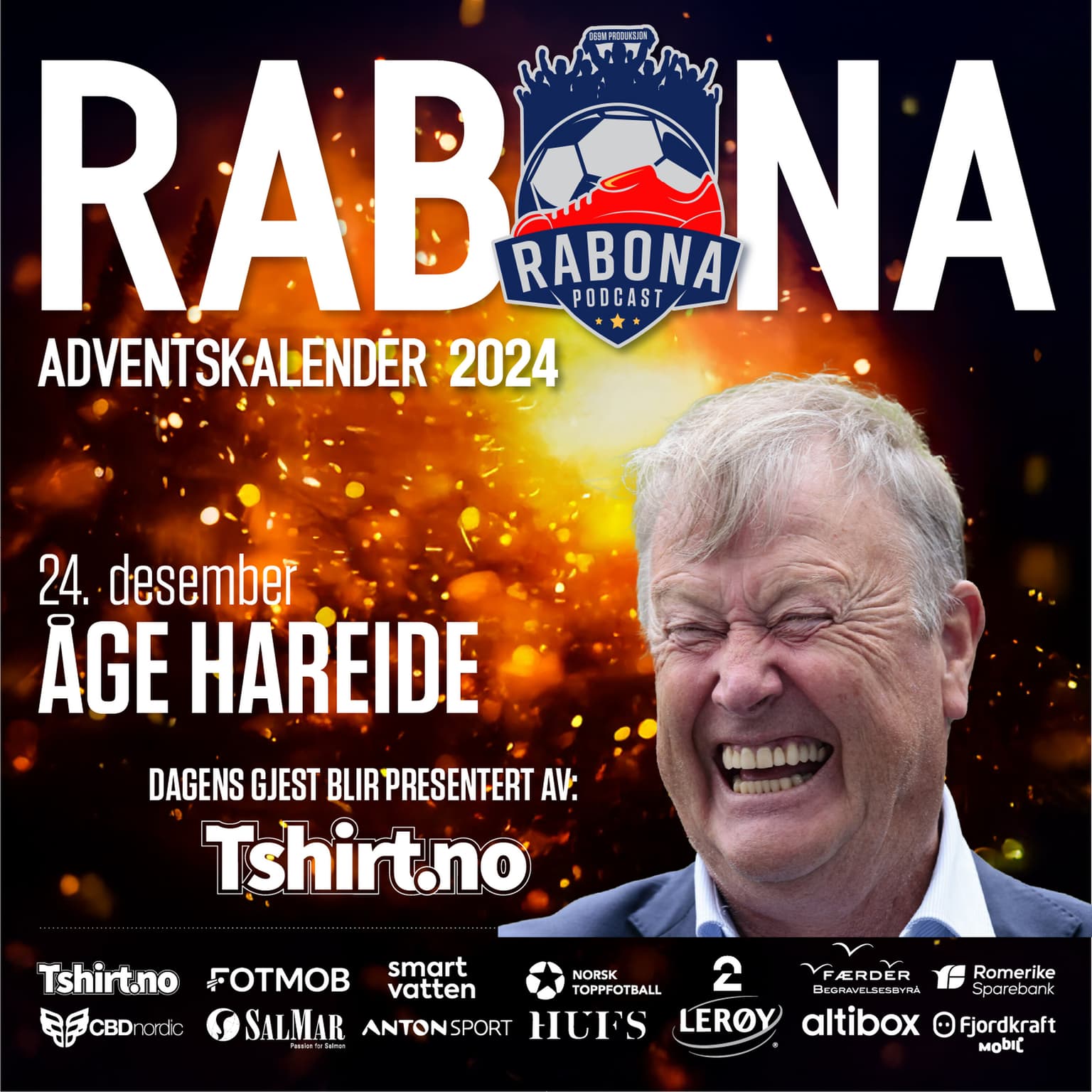 24. Desember: Åge Hareide artwork