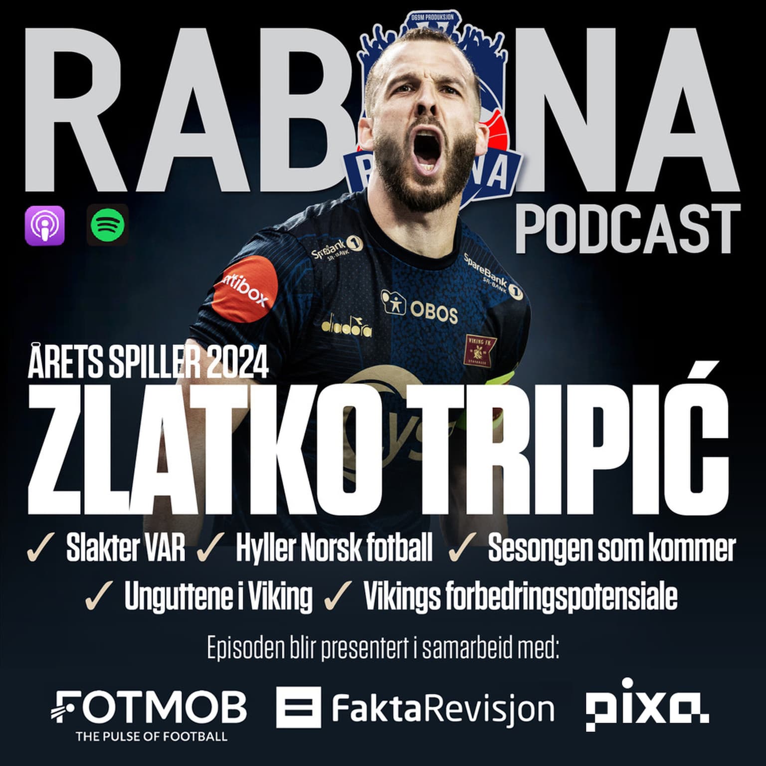 219. Zlatko Tripic artwork