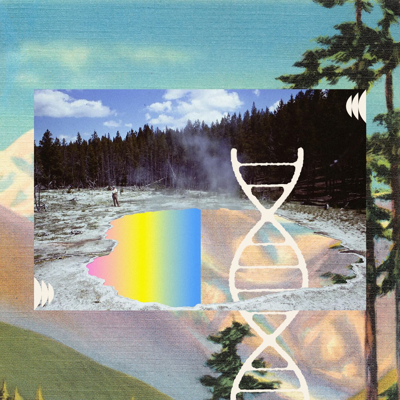 The Age of Aquaticus artwork