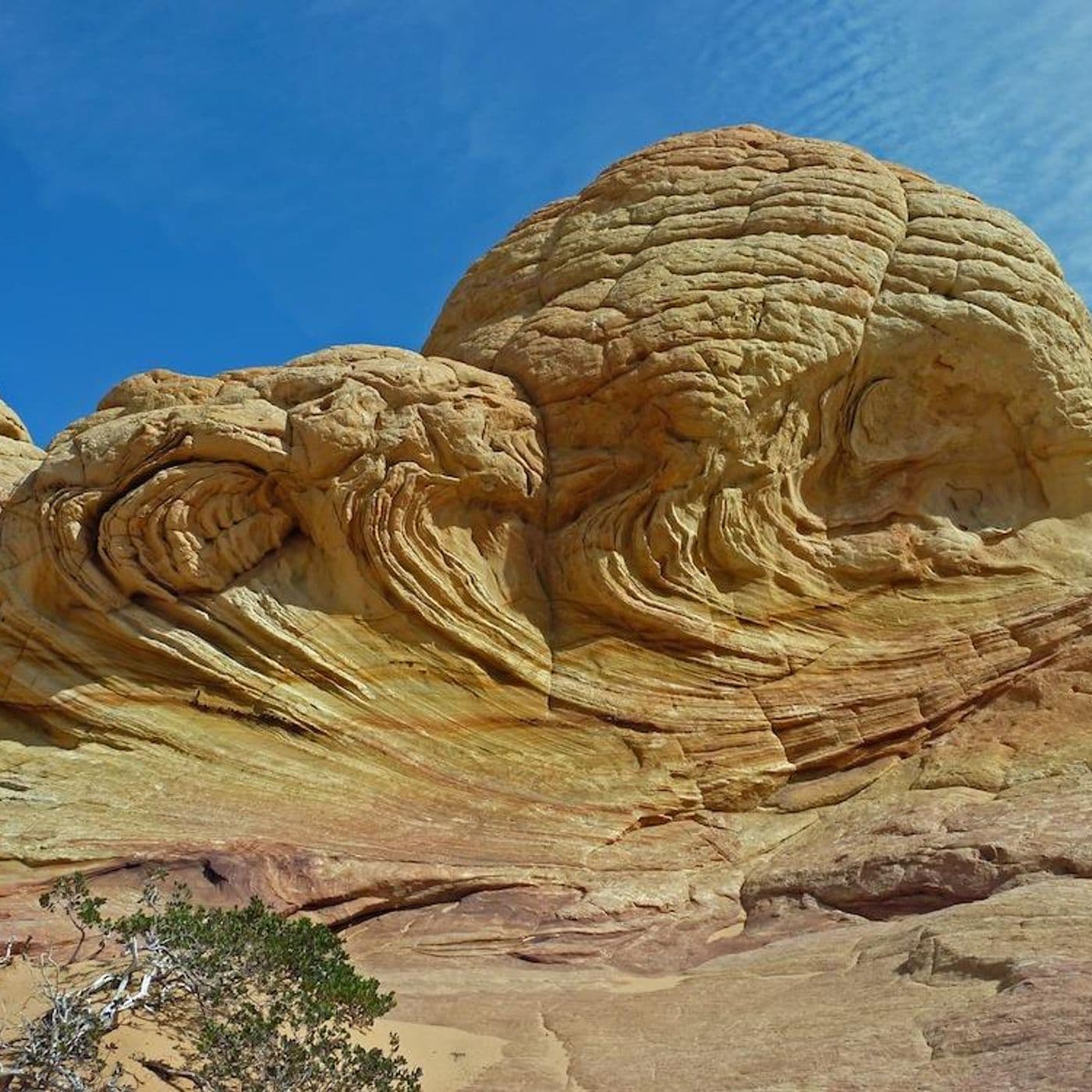 Solid as a Rock artwork