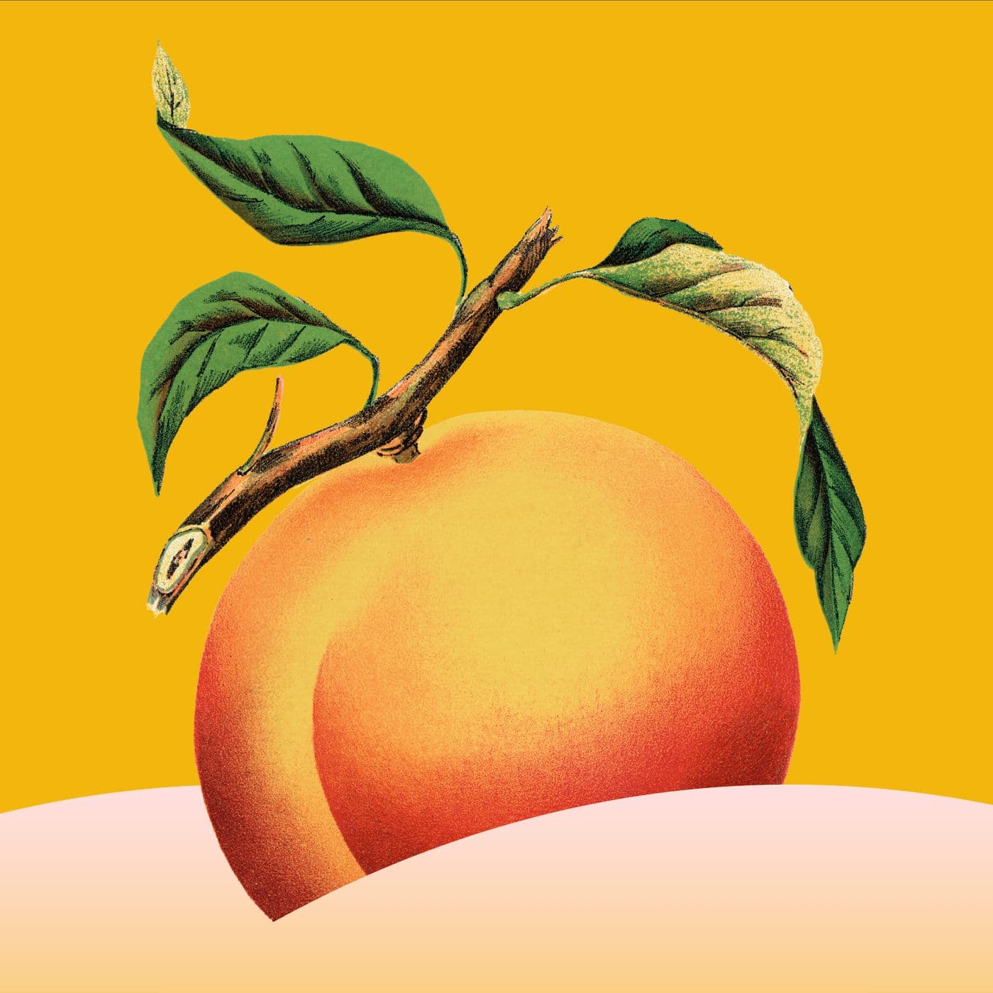 Butt Stuff artwork