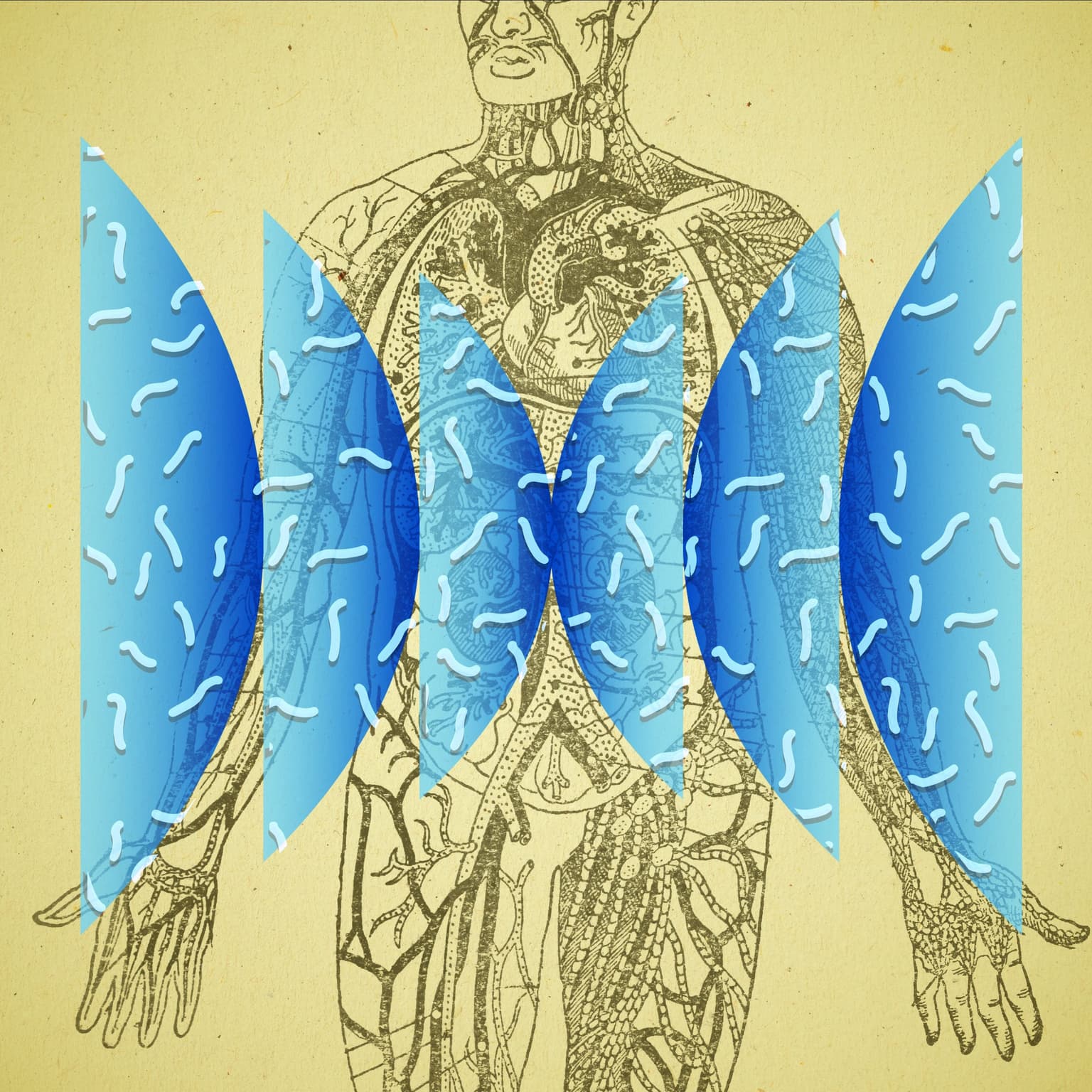 Your Friendly Neighborhood Hookworms artwork