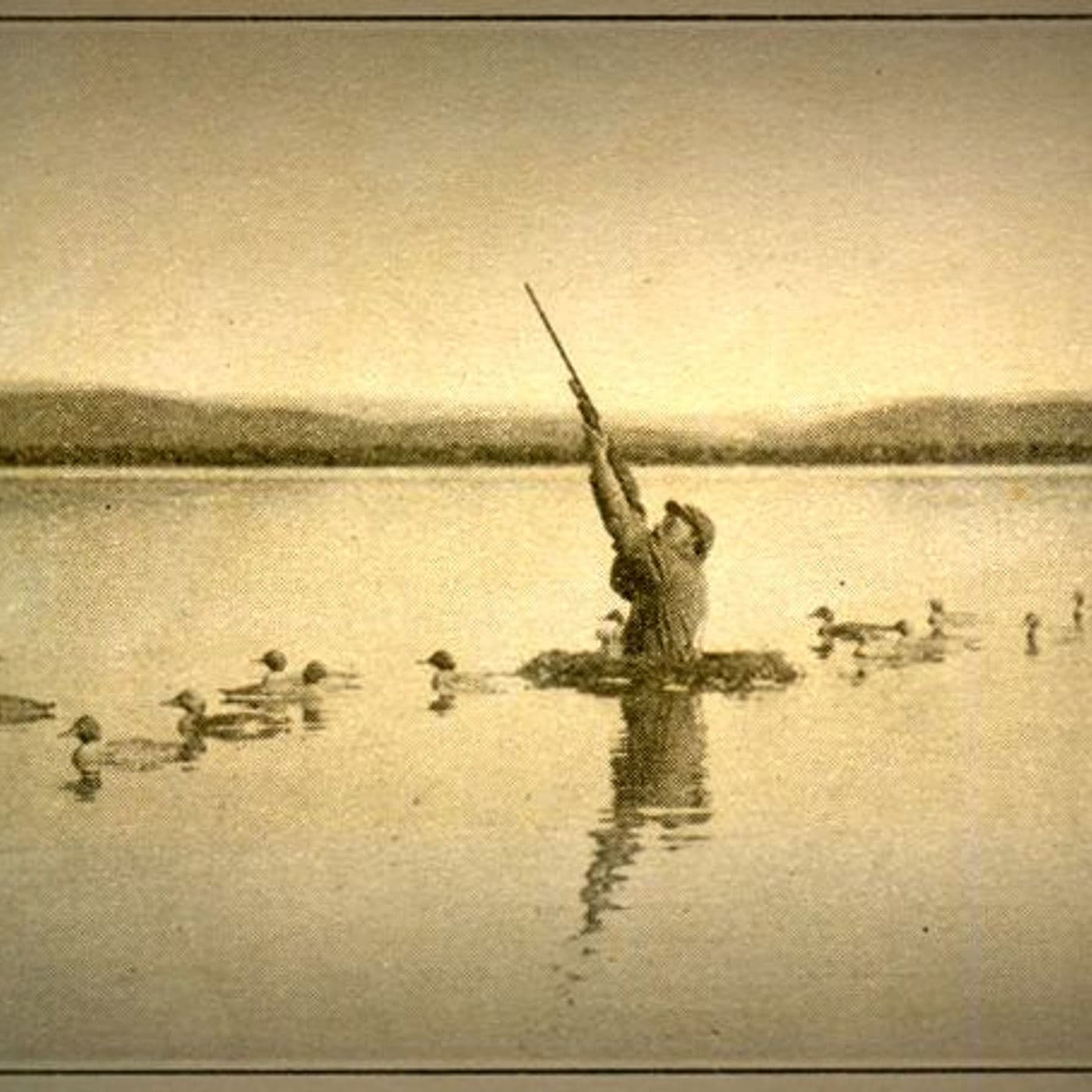 Sex, Ducks, and The Founding Feud artwork