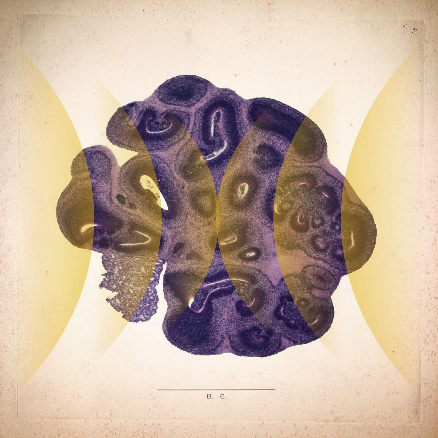 Brain Balls artwork
