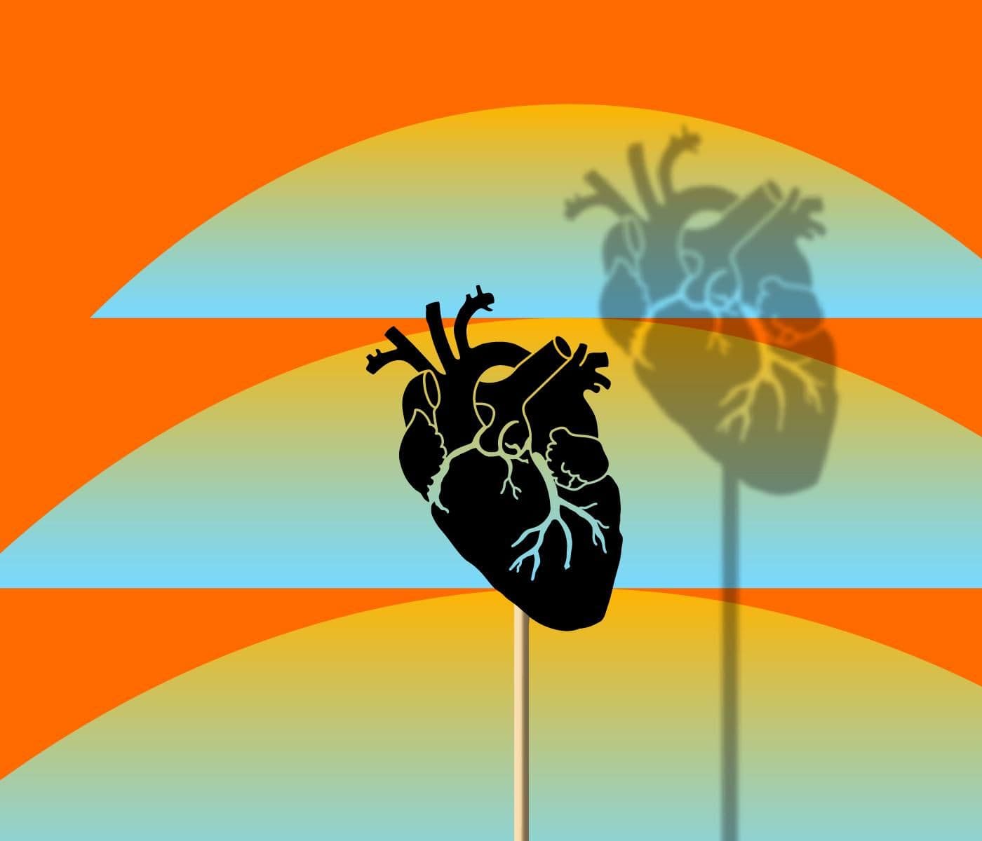 My Thymus, Myself artwork