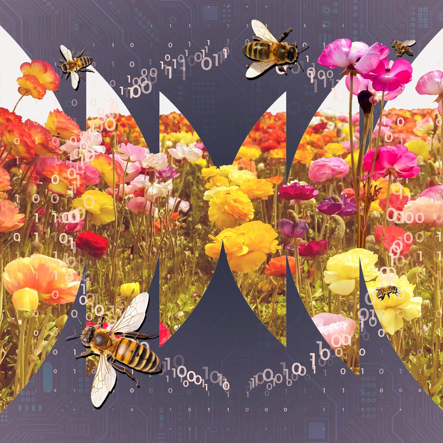 Time is Honey artwork