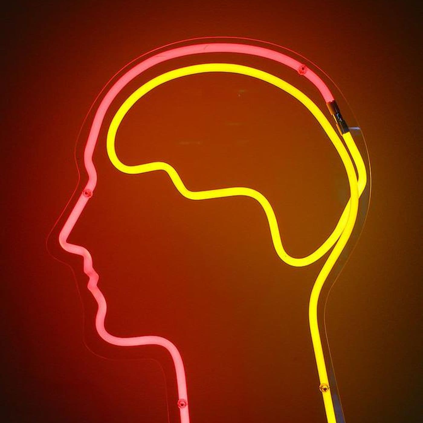 This is Your Brain On Love artwork