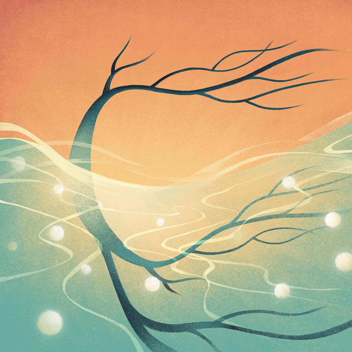 Gonads: X & Y artwork